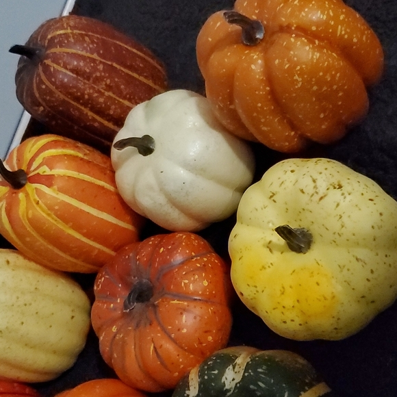 Mini pumpkins 12 - Picture 3 of 4